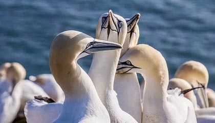 李乙容儿子谈03年父亲扇李毅：行为不可取，要用实力回应粗暴犯规