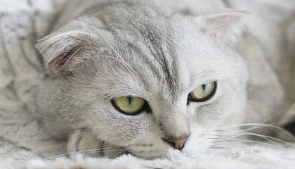 李乙容儿子谈03年父亲扇李毅:行为不可取,要用实力回应粗暴犯规