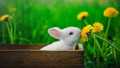 李乙容儿子谈03年父亲扇李毅：行为不可取，要用实力回应粗暴犯规